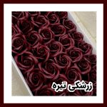 گل رز معطر - Image 17