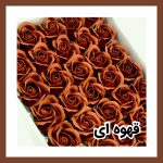 گل رز معطر - Image 21