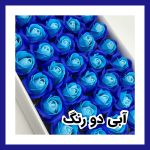 گل رز معطر - Image 19