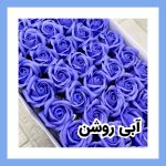 گل رز معطر - Image 20